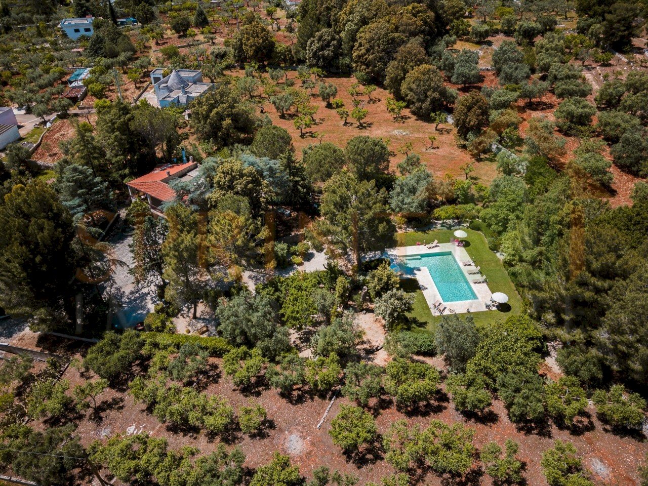DJI_0300-DxO_DeepPRIME XD2s-HDR - Villa Contrada Tavarello 343/A, Monopoli - foto 3