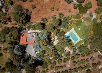 DJI_0281-DxO_DeepPRIME XD2s-HDR - Villa Contrada Tavarello 343/A, Monopoli - foto 1