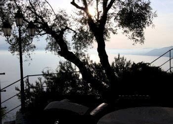 Vista - Villa Camogli - foto 8