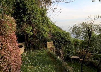 Giardino - Villa Camogli - foto 15