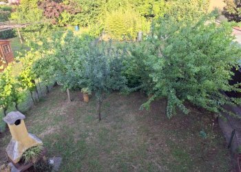 56810 - Townhouse San Giuliano Terme - photo 4