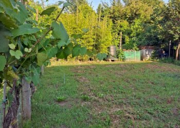 IMG-20260527-WA0017 - Townhouse San Giuliano Terme - photo 18