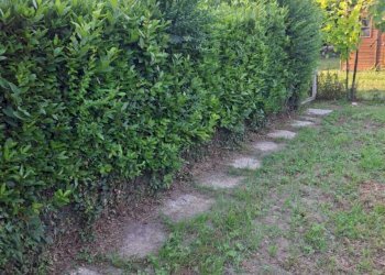IMG-20260527-WA0019 - Townhouse San Giuliano Terme - photo 27