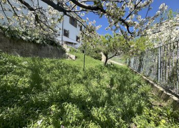 IMG_6474 - Villa Gessopalena - foto 6