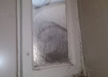 IMG_20250123_161642_707 - Appartamento Via Gaetano Donizetti 15, Torino (zona San Salvario) - foto 10