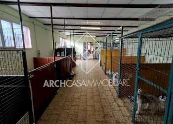 interno - Warehouse Via Cuneo, Peveragno - photo 5