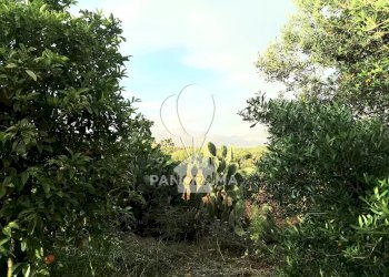 Villa SS113, Partinico - photo 22