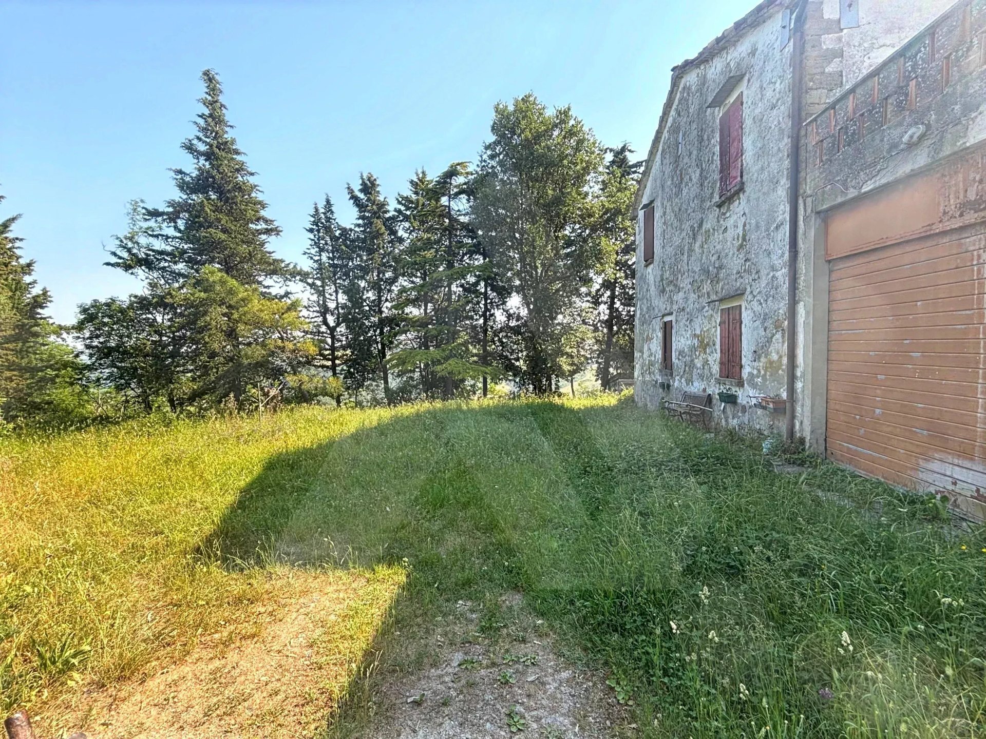 Apartment Meldola - photo 2