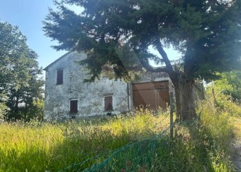 Apartment Meldola - photo 8