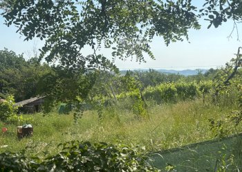 Apartment Meldola - photo 11