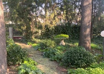Villa Imola - foto 7
