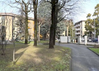 Trilocale Vimercate - foto 3