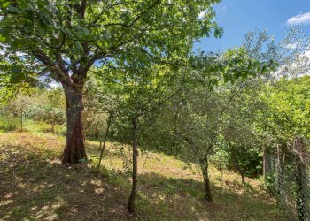 Foto 42 - Casa indipendente Via Pozzillo, Sora - foto 42
