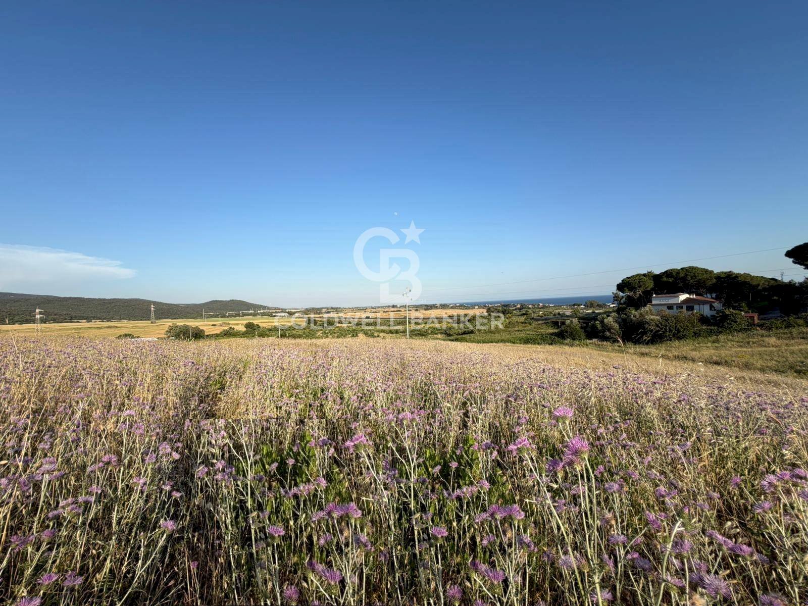 Foto 1 - Terreno agricolo Via Pontenuovo
 
snc, Santa Marinella - foto 1