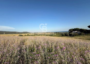 Foto 1 - Agricultural land Via Pontenuovo
snc, Santa Marinella - photo 1