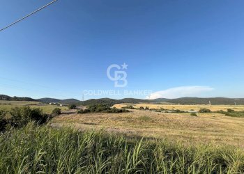 Foto 4 - Agricultural land Via Pontenuovo
snc, Santa Marinella - photo 4