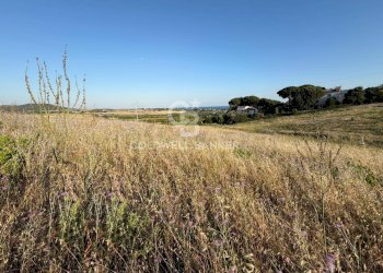 Foto 5 - Agricultural land Via Pontenuovo
snc, Santa Marinella - photo 5