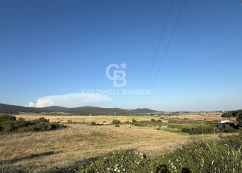 Foto 10 - Agricultural land Via Pontenuovo
snc, Santa Marinella - photo 10