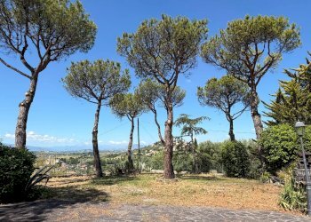 Foto 48 - Villa Contrada Colle Sant'Angelo
 
18, Monteprandone - foto 48