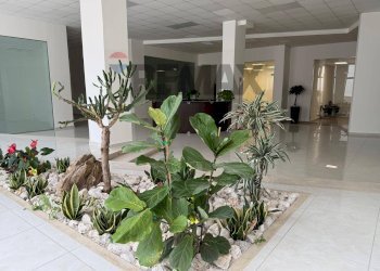 Ricezione / Lobby - Locale Commerciale Via Vincenzo Monti
 
1, Catania - foto 9