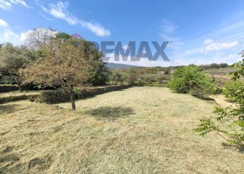 Giardino - Terreno agricolo Contrada Rovitello
snc, Castiglione di Sicilia - foto 7