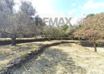 Giardino - Terreno agricolo Contrada Rovitello
snc, Castiglione di Sicilia - foto 9
