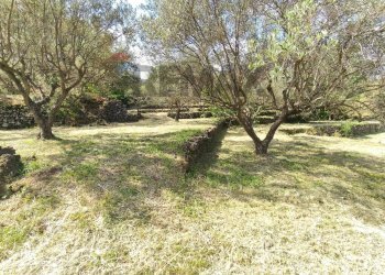 Giardino - Terreno agricolo Contrada Rovitello
snc, Castiglione di Sicilia - foto 11