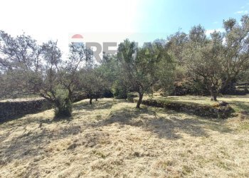 Giardino - Terreno agricolo Contrada Rovitello
snc, Castiglione di Sicilia - foto 13