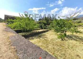 Giardino - Terreno agricolo Contrada Rovitello
snc, Castiglione di Sicilia - foto 22
