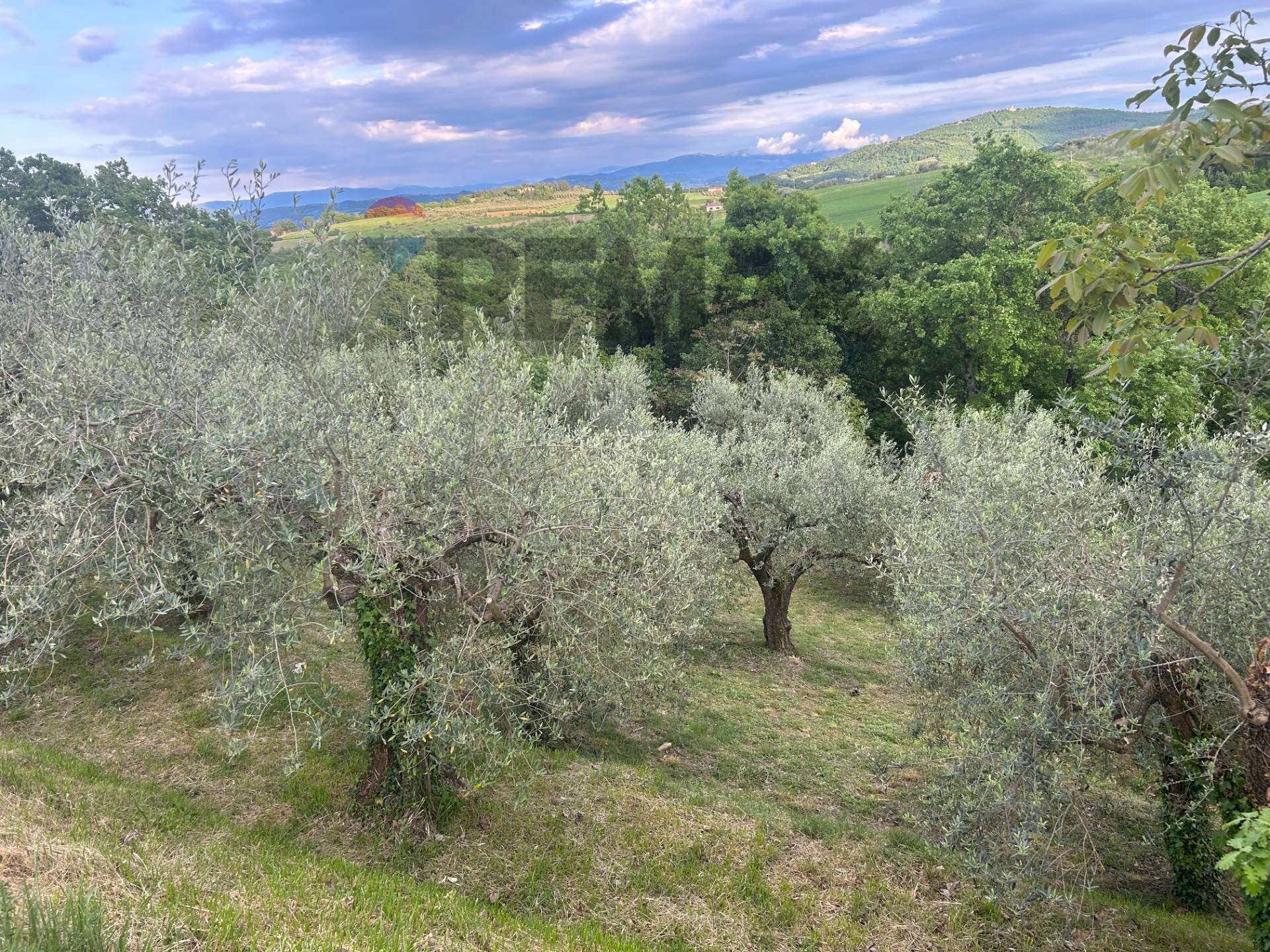 Vista delle montagne - Agricultural land Migliano, Marsciano - photo 1