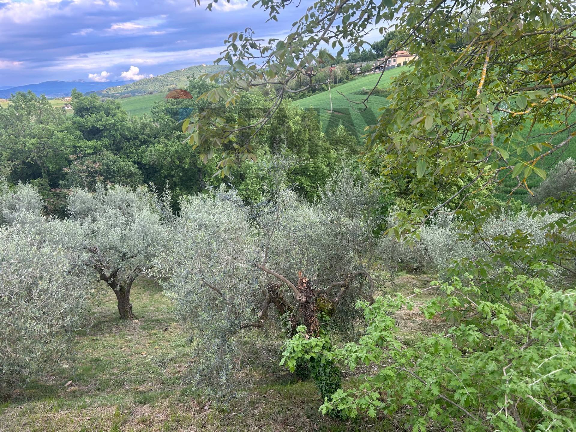 Vista delle montagne - Agricultural land Migliano, Marsciano - photo 3