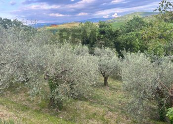 Vista delle montagne - Agricultural land Migliano, Marsciano - photo 1
