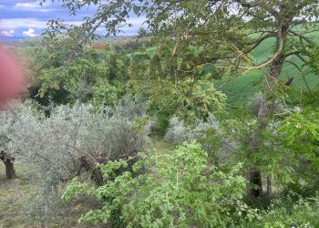 Giardino - Agricultural land Migliano, Marsciano - photo 4
