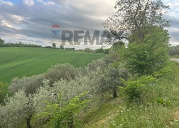 Giardino - Agricultural land Migliano, Marsciano - photo 11