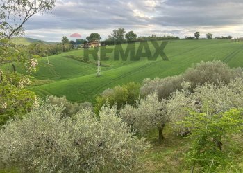 Giardino - Agricultural land Migliano, Marsciano - photo 12
