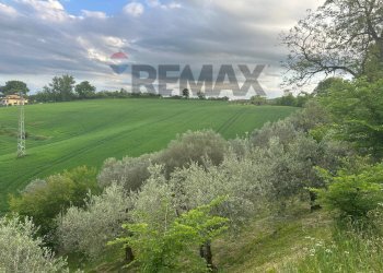 Giardino - Agricultural land Migliano, Marsciano - photo 14