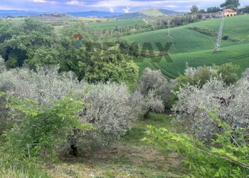 Vista delle montagne - Agricultural land Migliano, Marsciano - photo 15