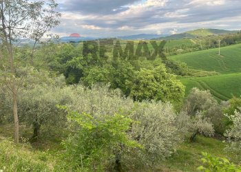 Vista delle montagne - Agricultural land Migliano, Marsciano - photo 16