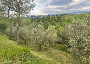 Vista delle montagne - Agricultural land Migliano, Marsciano - photo 18