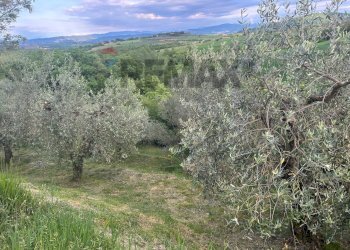 Vista delle montagne - Agricultural land Migliano, Marsciano - photo 19