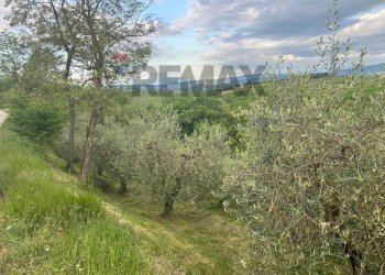 Vista delle montagne - Agricultural land Migliano, Marsciano - photo 20