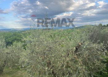 Vista delle montagne - Agricultural land Migliano, Marsciano - photo 21