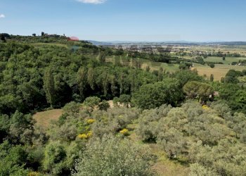 Vista delle montagne - Casa indipendente Frazione Rocca Sant' Angelo, Assisi - foto 41