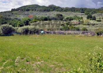 Vista delle montagne - Agricultural land Via Panoramica
13-15, Pescia - photo 3