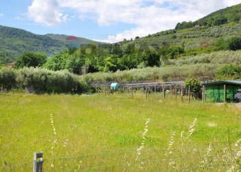Vista delle montagne - Agricultural land Via Panoramica
13-15, Pescia - photo 6