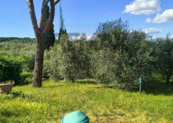 Giardino - Casa semi indipendente San Casciano in Val di Pesa - foto 13