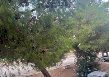 Edificio all\'aperto - Two-room apartment S.S. 159 DELLE SALINE SCALO DEI SARACENI, Manfredonia - photo 3