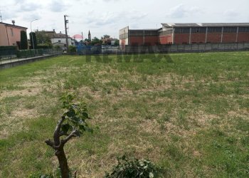 Giardino - Terreno edificabile Della Pelosa
179, Fiorenzuola d'Arda - foto 3