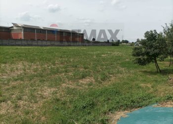Giardino - Terreno edificabile Della Pelosa
179, Fiorenzuola d'Arda - foto 4