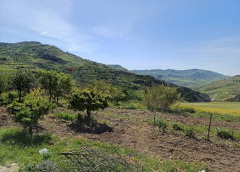 Vista delle montagne - Terreno agricolo Favara - foto 17